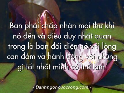 Bạn phải chấp nhận mọi thứ khi nó đến và điều duy nhất quan trọng là bạn đối diện nó với lòng can đảm và hành động với những gì tốt nhất mình có thể làm.