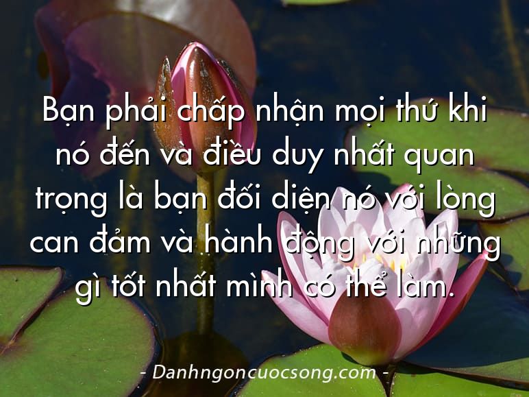 Bạn phải chấp nhận mọi thứ khi nó đến và điều duy nhất quan trọng là bạn đối diện nó với lòng can đảm và hành động với những gì tốt nhất mình có thể làm.