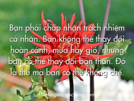 Bạn phải chấp nhận trách nhiệm cá nhân. Bạn không thể thay đổi hoàn cảnh, mùa hay gió, nhưng bạn có thể thay đổi bản thân. Đó là thứ mà bạn có thể khống chế.