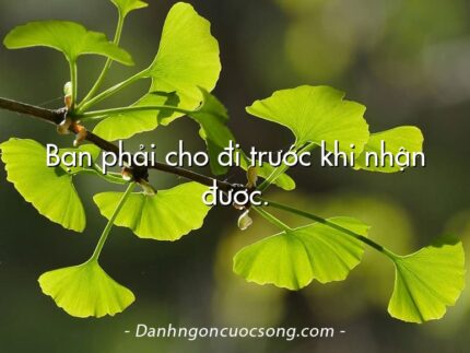 Bạn phải cho đi trước khi nhận được.