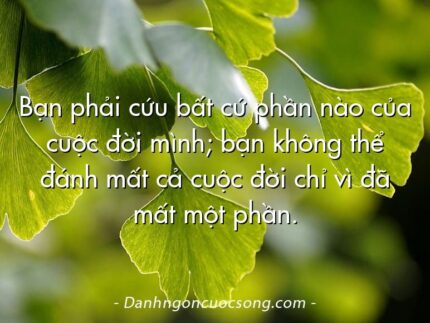 Bạn phải cứu bất cứ phần nào của cuộc đời mình; bạn không thể đánh mất cả cuộc đời chỉ vì đã mất một phần.