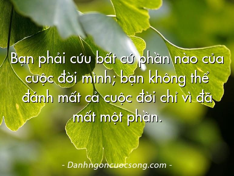 Bạn phải cứu bất cứ phần nào của cuộc đời mình; bạn không thể đánh mất cả cuộc đời chỉ vì đã mất một phần.