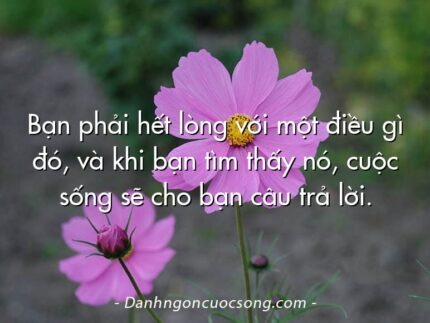 Bạn phải hết lòng với một điều gì đó, và khi bạn tìm thấy nó, cuộc sống sẽ cho bạn câu trả lời.