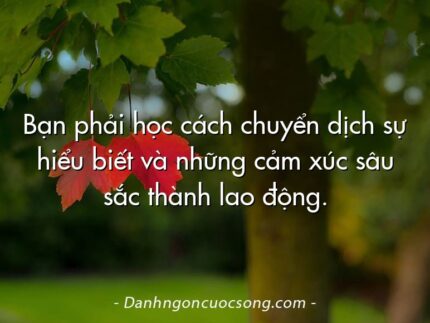 Bạn phải học cách chuyển dịch sự hiểu biết và những cảm xúc sâu sắc thành lao động.