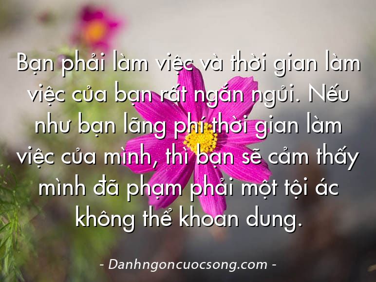 Bạn phải làm việc và thời gian làm việc của bạn rất ngắn ngủi. Nếu như bạn lãng phí thời gian làm việc của mình, thì bạn sẽ cảm thấy mình đã phạm phải một tội ác không thể khoan dung.