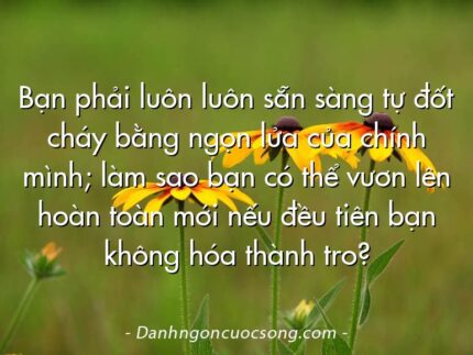 Bạn phải luôn luôn sẵn sàng tự đốt cháy bằng ngọn lửa của chính mình; làm sao bạn có thể vươn lên hoàn toàn mới nếu đều tiên bạn không hóa thành tro?