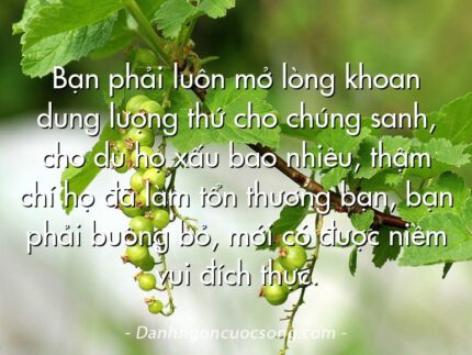 Bạn phải luôn mở lòng khoan dung lượng thứ cho chúng sanh, cho dù họ xấu bao nhiêu, thậm chí họ đã làm tổn thương bạn, bạn phải buông bỏ, mới có được niềm vui đích thực.