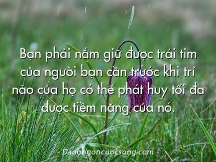 Bạn phải nắm giữ được trái tim của người bạn cần trước khi trí não của họ có thể phát huy tối đa được tiềm năng của nó.