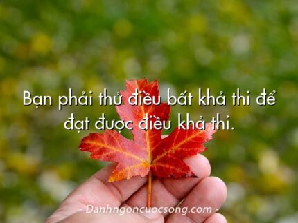 Bạn phải thử điều bất khả thi để đạt được điều khả thi.