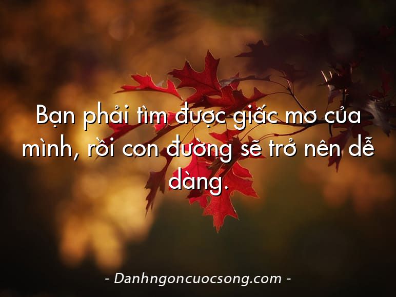 Bạn phải tìm được giấc mơ của mình, rồi con đường sẽ trở nên dễ dàng.