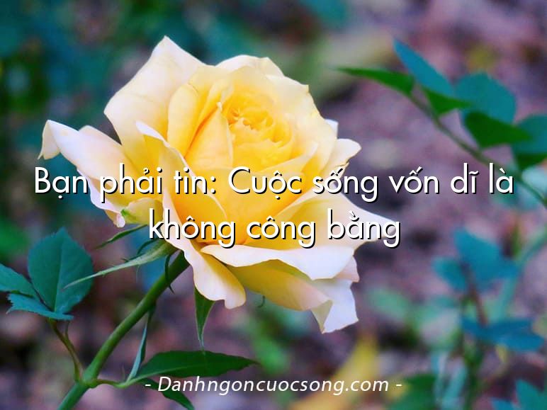 Bạn phải tin: Cuộc sống vốn dĩ là không công bằng