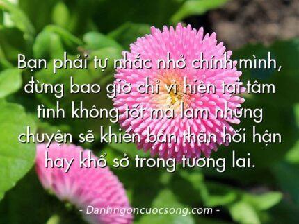 Bạn phải tự nhắc nhở chính mình, đừng bao giờ chỉ vì hiện tại tâm tình không tốt mà làm những chuyện sẽ khiến bản thân hối hận hay khổ sở trong tương lai.