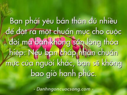 Bạn phải yêu bản thân đủ nhiều để đặt ra một chuẩn mực cho cuộc đời mà bạn không sẵn lòng thỏa hiệp. Nếu bạn chấp nhận chuẩn mực của người khác, bạn sẽ không bao giờ hạnh phúc.
