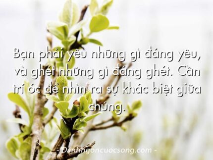 Bạn phải yêu những gì đáng yêu, và ghét những gì đáng ghét. Cần trí óc để nhìn ra sự khác biệt giữa chúng.