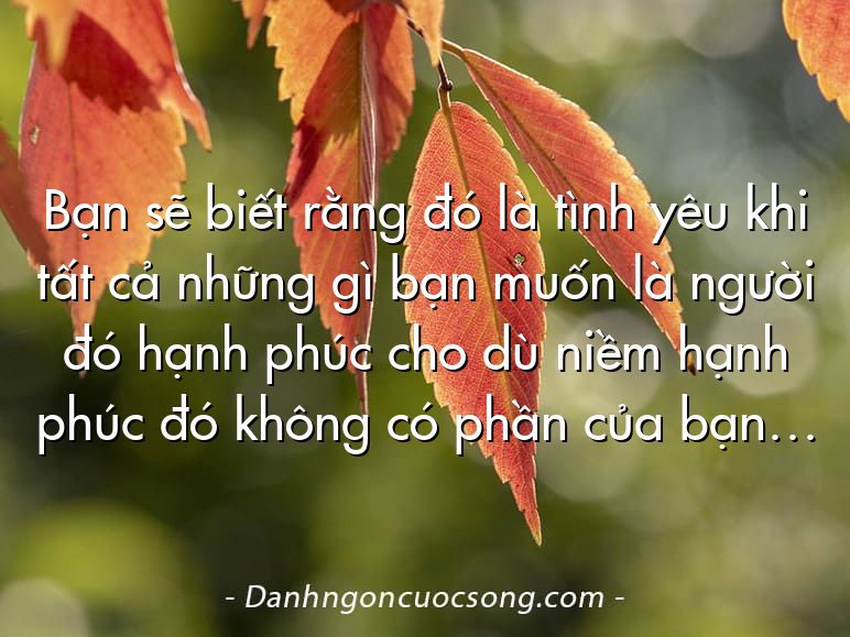 Bạn sẽ biết rằng đó là tình yêu khi tất cả những gì bạn muốn là người đó hạnh phúc cho dù niềm hạnh phúc đó không có phần của bạn…
