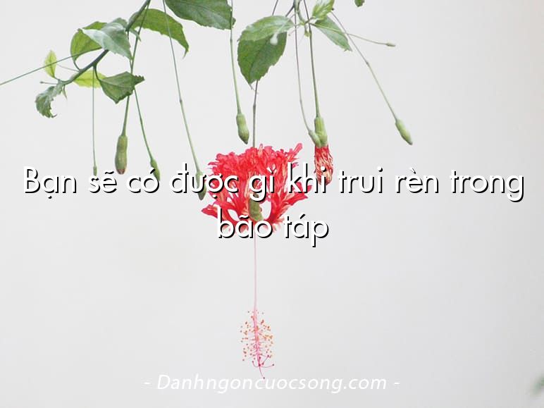 Bạn sẽ có được gì khi trui rèn trong bão táp