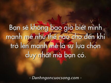 Bạn sẽ không bao giờ biết mình mạnh mẽ như thế nào cho đến khi trở lên mạnh mẽ là sự lựa chọn duy nhất mà bạn có.