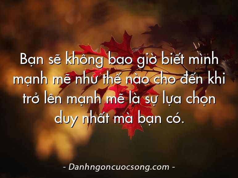Bạn sẽ không bao giờ biết mình mạnh mẽ như thế nào cho đến khi trở lên mạnh mẽ là sự lựa chọn duy nhất mà bạn có.
