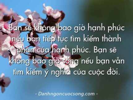Bạn sẽ không bao giờ hạnh phúc nếu bạn tiếp tục tìm kiếm thành phần của hạnh phúc. Bạn sẽ không bao giờ sống nếu bạn vẫn tìm kiếm ý nghĩa của cuộc đời.