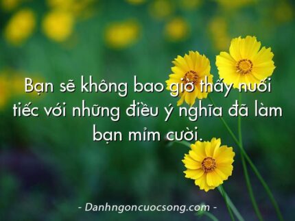Bạn sẽ không bao giờ thấy nuối tiếc với những điều ý nghĩa đã làm bạn mỉm cười.