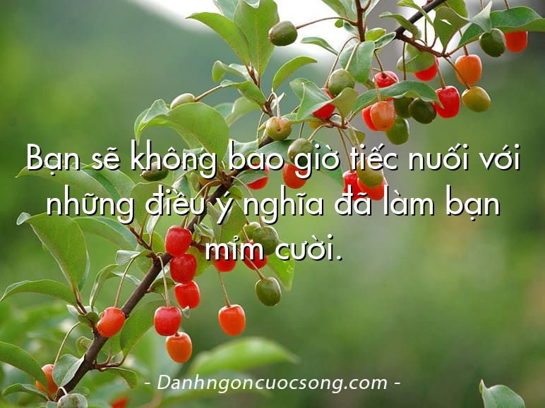 Bạn sẽ không bao giờ tiếc nuối với những điều ý nghĩa đã làm bạn mỉm cười.