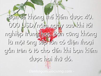 Bạn sẽ không thể kiếm được 40. 000 USD/năm ngay sau khi tốt nghiệp trung học. Bạn cũng không là một ông sếp lớn có điện thoại gắn trên ô tô cho đến khi bạn kiếm được hai thứ đó.