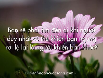 Bạn sẽ phải tìm đến ai khi người duy nhất có thể khiến bạn ngừng rơi lệ lại là người khiến bạn khóc?
