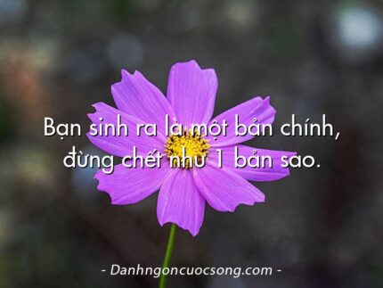 Bạn sinh ra là một bản chính, đừng chết như 1 bản sao.