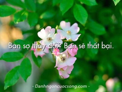 Bạn sợ thay đổi? Bạn sẽ thất bại.