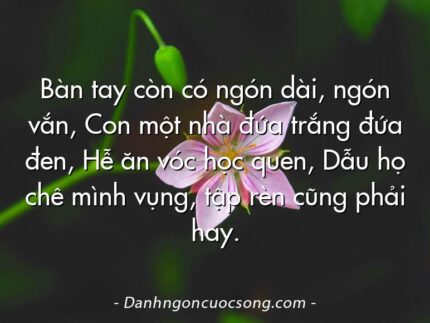 Bàn tay còn có ngón dài, ngón vắn, Con một nhà đứa trắng đứa đen, Hễ ăn vóc học quen, Dẫu họ chê mình vụng, tập rèn cũng phải hay.