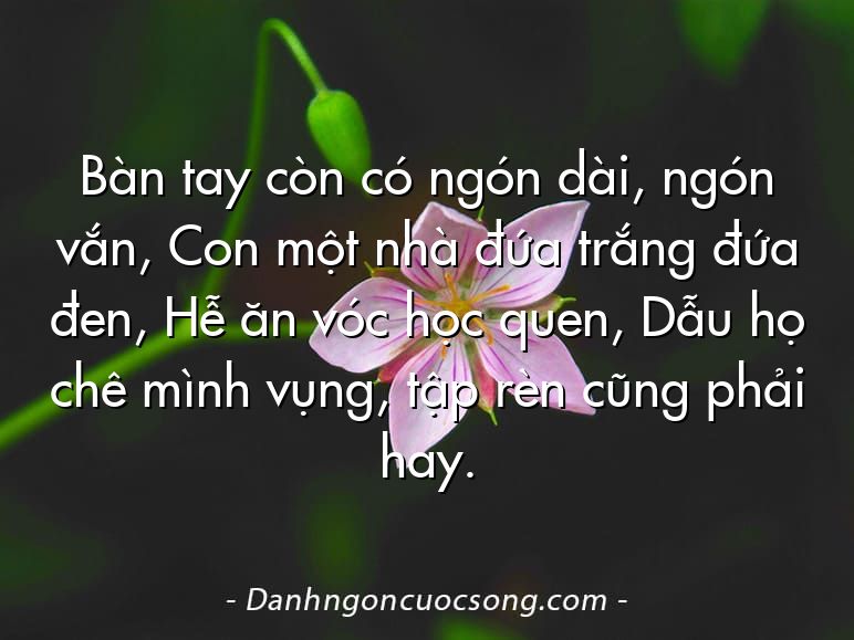 Bàn tay còn có ngón dài, ngón vắn, Con một nhà đứa trắng đứa đen, Hễ ăn vóc học quen, Dẫu họ chê mình vụng, tập rèn cũng phải hay.
