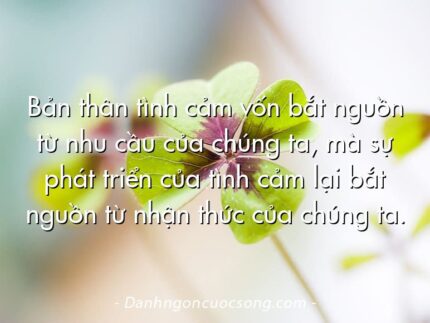 Bản thân tình cảm vốn bắt nguồn từ nhu cầu của chúng ta, mà sự phát triển của tình cảm lại bắt nguồn từ nhận thức của chúng ta.