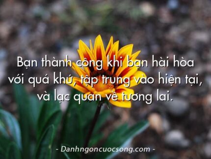 Bạn thành công khi bạn hài hòa với quá khứ, tập trung vào hiện tại, và lạc quan về tương lai.