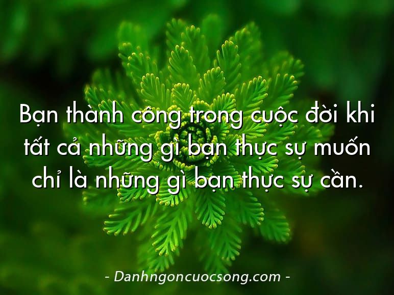 Bạn thành công trong cuộc đời khi tất cả những gì bạn thực sự muốn chỉ là những gì bạn thực sự cần.