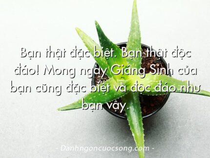 Bạn thật đặc biệt. Bạn thật độc đáo! Mong ngày Giáng Sinh của bạn cũng đặc biệt và độc đáo như bạn vậy.