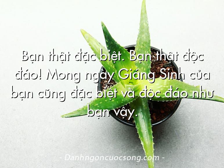 Bạn thật đặc biệt. Bạn thật độc đáo! Mong ngày Giáng Sinh của bạn cũng đặc biệt và độc đáo như bạn vậy.