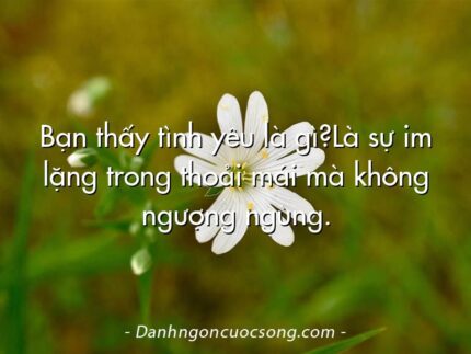 Bạn thấy tình yêu là gì?Là sự im lặng trong thoải mái mà không ngượng ngùng.