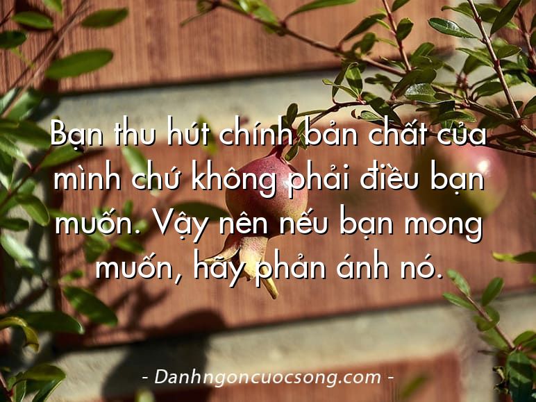 Bạn thu hút chính bản chất của mình chứ không phải điều bạn muốn. Vậy nên nếu bạn mong muốn, hãy phản ánh nó.