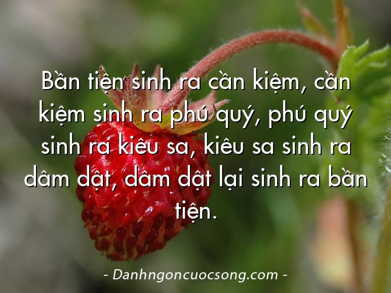 Bần tiện sinh ra cần kiệm, cần kiệm sinh ra phú quý, phú quý sinh ra kiêu sa, kiêu sa sinh ra dâm dật, dâm dật lại sinh ra bần tiện.