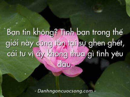 Bạn tin không? Tình bạn trong thế giới này cũng tồn tại sự ghen ghét, cái tư vị ấy không thua gì tình yêu đâu.