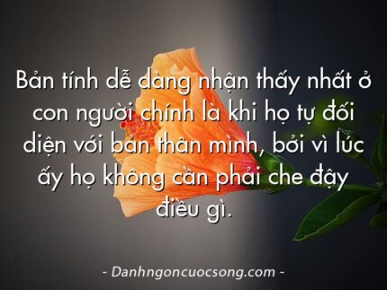 Bản tính dễ dàng nhận thấy nhất ở con người chính là khi họ tự đối diện với bản thân mình, bởi vì lúc ấy họ không cần phải che đậy điều gì.