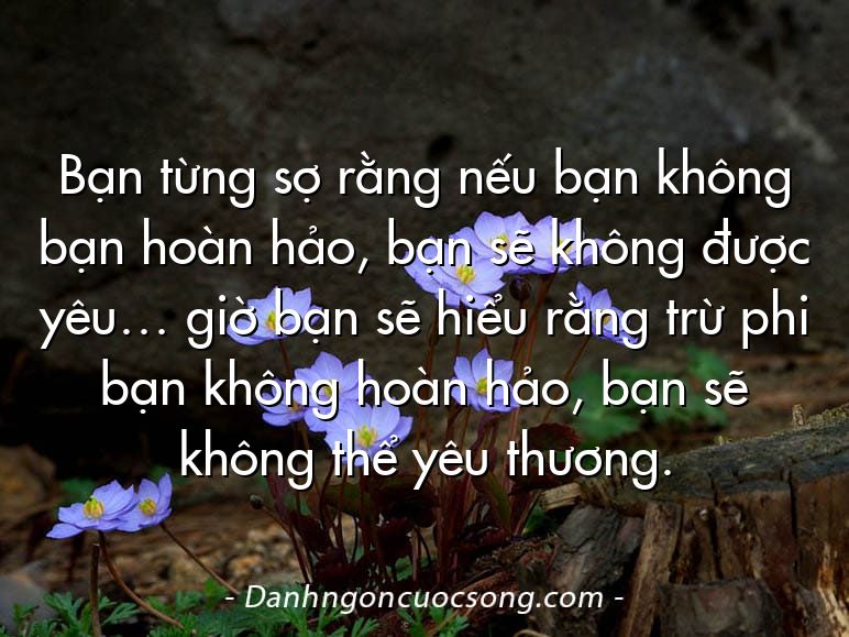 Bạn từng sợ rằng nếu bạn không bạn hoàn hảo, bạn sẽ không được yêu… giờ bạn sẽ hiểu rằng trừ phi bạn không hoàn hảo, bạn sẽ không thể yêu thương.