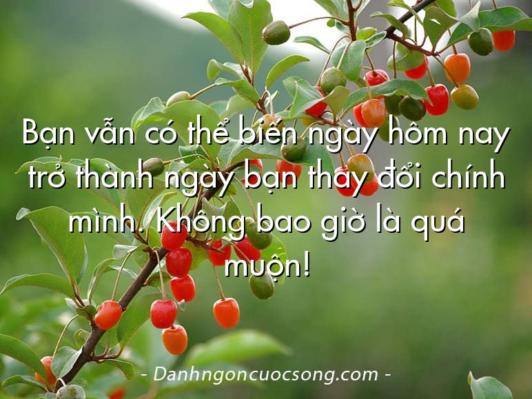 Bạn vẫn có thể biến ngày hôm nay trở thành ngày bạn thay đổi chính mình. Không bao giờ là quá muộn!