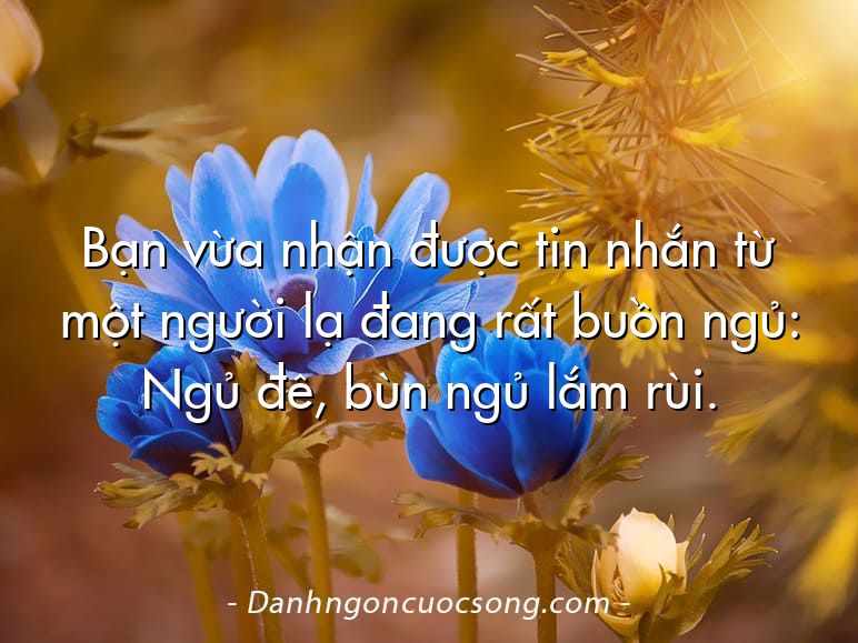 Bạn vừa nhận được tin nhắn từ một người lạ đang rất buồn ngủ: Ngủ đê, bùn ngủ lắm rùi.