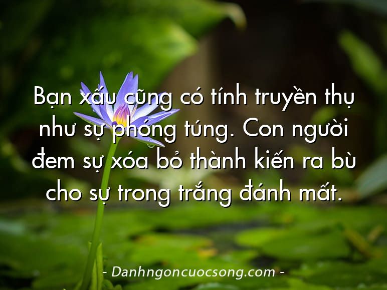 Bạn xấu cũng có tính truyền thụ như sự phóng túng. Con người đem sự xóa bỏ thành kiến ra bù cho sự trong trắng đánh mất.