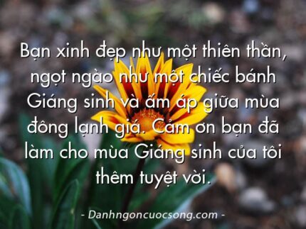 Bạn xinh đẹp như một thiên thần, ngọt ngào như một chiếc bánh Giáng sinh và ấm áp giữa mùa đông lạnh giá. Cảm ơn bạn đã làm cho mùa Giáng sinh của tôi thêm tuyệt vời.