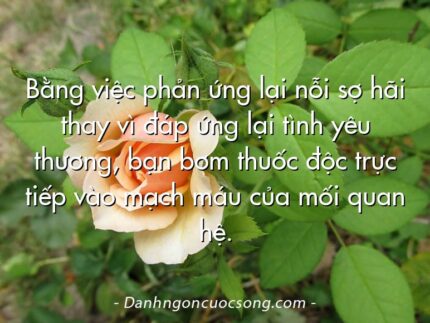 Bằng việc phản ứng lại nỗi sợ hãi thay vì đáp ứng lại tình yêu thương, bạn bơm thuốc độc trực tiếp vào mạch máu của mối quan hệ.