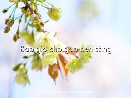 Bao giờ cho gạo bén sàng