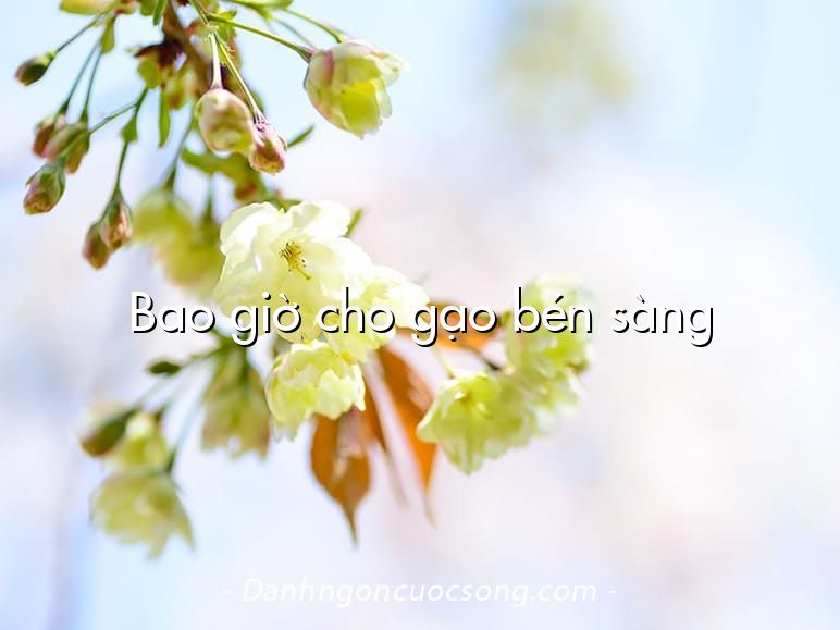 Bao giờ cho gạo bén sàng