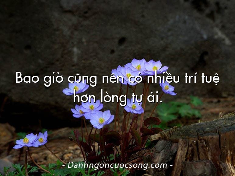 Bao giờ cũng nên có nhiều trí tuệ hơn lòng tự ái.